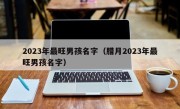 2023年最旺男孩名字（腊月2023年最旺男孩名字）