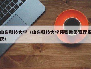 山东科技大学（山东科技大学强智教务管理系统）